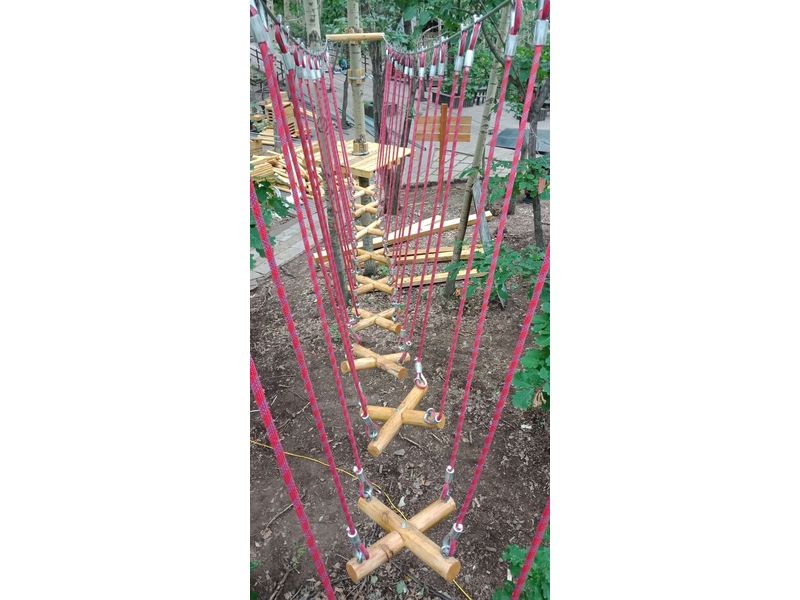 丛林穿越