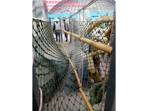 浙江某景区施工现场