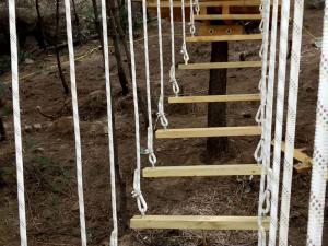 丛林穿越的建造场地必须具备的5大要求