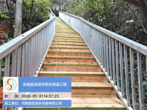 安徽省芜湖市钢木栈道完工